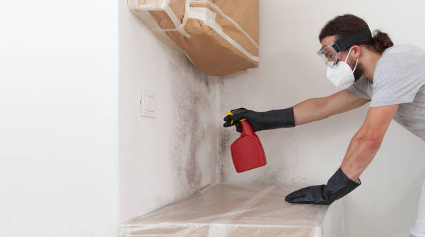 Professional Mold Remediation technician working in Corapeake, NC